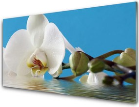 Szkło do Kuchni na Ścianę Botaniczny Portret Kwiatu