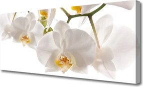 Obraz canvas na ścianę Egzotyczna Orchidea w Detalu