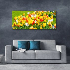 Obraz Canvas Tulipany Kwiaty Natura