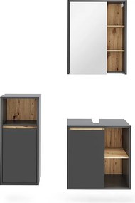 Zestaw mebli łazienkowych szary/artystyczny 60x45.5x60 viola