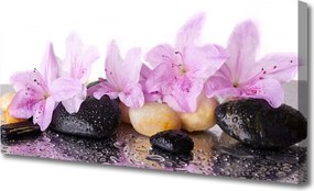 Duży obraz na płótnie Szlachetna Różowa Lilia