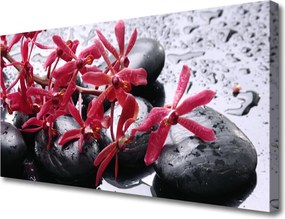 Zdjęcie na płótnie Minimalistyczna Kompozycja Zen