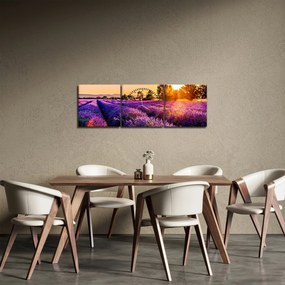 Obraz pola lawendy, Prowansja (z zegarem) (90x30 cm)