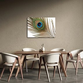 Obraz pawich piór (70x50 cm)