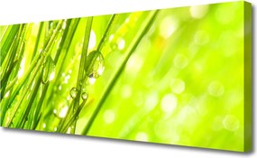 Obraz canvas Świeżość Porannej Rosy