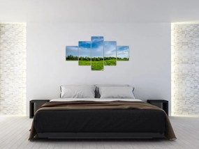 Obraz łąki (125x70 cm)