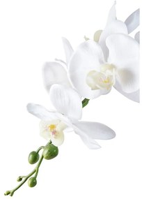 Sztuczny kwiat (wysokość 47 cm) Orchid – House Nordic