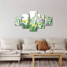 Obraz - Malowane kwiaty łąkowe (125x70 cm)