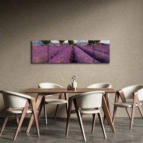 Obraz - Pole lawendy i góry (170x50 cm)