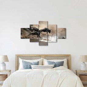 Obraz - Stado antylop gnu (125x70 cm)