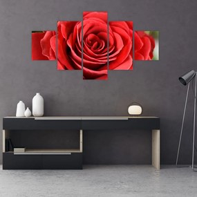 Obraz kwiatu róży (125x70 cm)