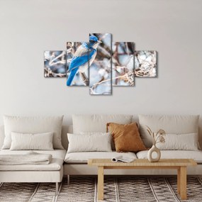 Obraz - Zimowy ptaszek (125x70 cm)