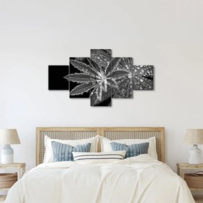 Obraz - Krople (125x70 cm)