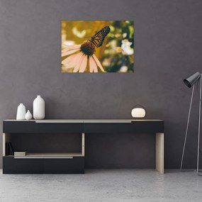 Obraz motyla na kwiatku (70x50 cm)