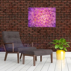 Obraz na szkle - szczegółowy obraz kwiatu (70x50 cm)