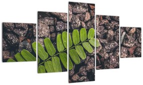 Obraz zielonej rośliny (125x70 cm)