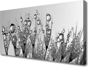 Obraz canvas na ścianę Botaniczna Forma Abstrakcyjna