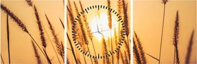 Obraz - Trawa w słońcu (z zegarem) (90x30 cm)