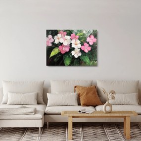 Obraz na szkle - Różowe i białe kwiaty (70x50 cm)