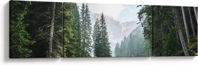 Obraz leśnego jeziora (170x50 cm)