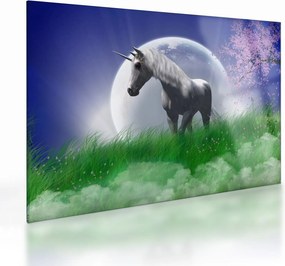 Obraz na szkle jednorożca (70x50 cm)