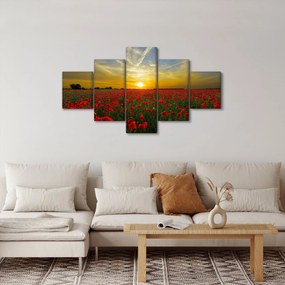 Obraz pola maków (125x70 cm)