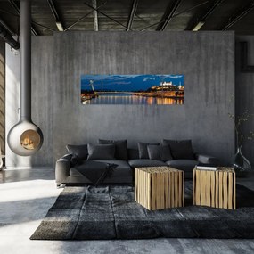 Obraz Bratysławy z zamkiem (170x50 cm)