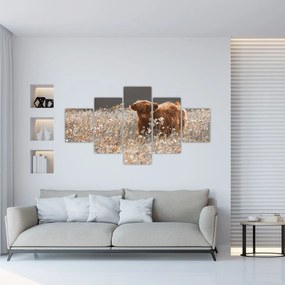 Obraz - Szkocka krowa w kwiatach (125x70 cm)