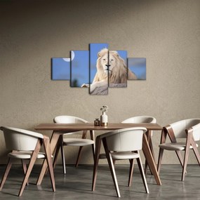 Obraz - Biały lew (125x70 cm)