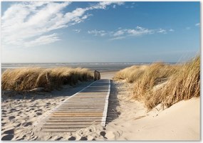 Foto obraz szklany Ścieżka na plaży