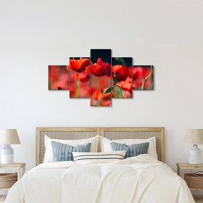 Obraz - maki (125x70 cm)