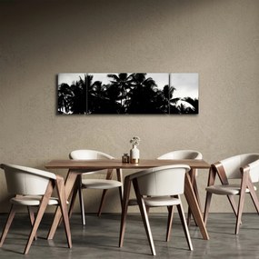 Obraz czarno - biały - palmy (170x50 cm)