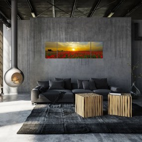 Obraz pola maków (170x50 cm)