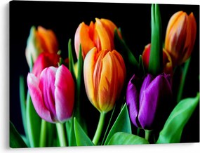 Obraz tulipanów na czarnym tle (70x50 cm)