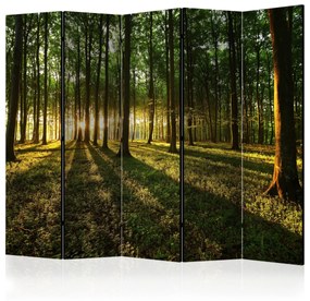 Parawan akustyczny Pejzaże 225x172 cm 5-częściowy zielony ARTGEIST B