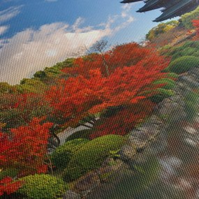 Obraz - Tō-ji (70x50 cm)