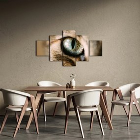 Obraz - Kocie oko (125x70 cm)