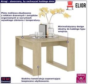 Mały stolik kawowy z kwadratowym blatem dąb sonoma Frexis 7X