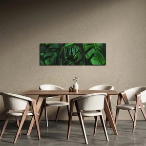 Obraz liści Monstery (z zegarem) (90x30 cm)
