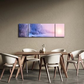 Obraz - Zamarznięta rzeka (170x50 cm)