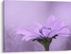 Obraz - Fioletowy kwiat (70x50 cm)