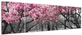 Obraz drzew magnolii (170x50 cm)
