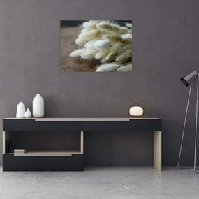 Obraz - Zajęczy ogonek (70x50 cm)