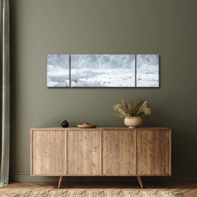 Obraz łabędzi (170x50 cm)