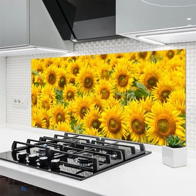 Panel Kuchenny Słonecznik W Pełnym Słońcu