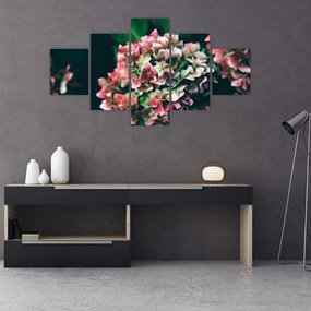 Obraz - Fragment Hortensji (125x70 cm)