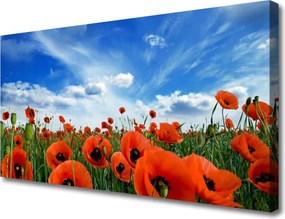 Obraz canvas Czerwone Maki w Blasku Słońca