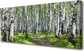 Obraz na płótnie Ścieżka przez Słoneczny Las