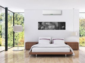 Obraz - Trawa łąkowa (170x50 cm)