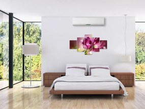 Obraz różowych tulipanów (125x70 cm)